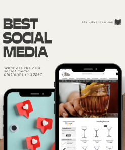 What are the best social media platforms in 2024?